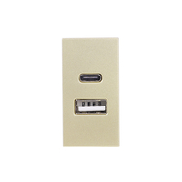 Modul Priza USB A+C 1M LUXION, Standard Italian, auriu
