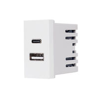 Modul Priza USB A+C 1M LUXION, Standard Italian, alb