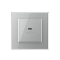 Priza USB Tip C Livolo cu Rama din Sticla, gri