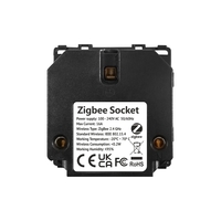 Modul Priza Inteligenta cu Protocol Zigbee si Monitorizare Consum, Fara Rama Din Sticla LUXION, gri