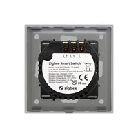 Intrerupator Dublu cu Touch din Sticla LUXION, protocol ZigBee, gri