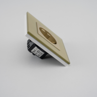 Priza Simpla LUXION cu Rama din Sticla, auriu