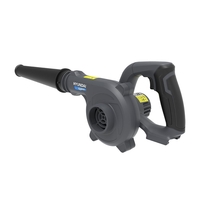 Suflanta cu acumulator 20V Hyundai BW20S, compacta si usoara, viteza de suflare 177 km/h, livrata fara acumulator si incarcator