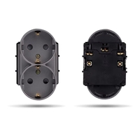 Modul Priza Dubla LUXION Pentru Doza Simpla, gri