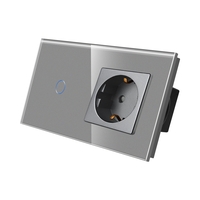 Intrerupator Simplu + Priza cu Rama din Sticla LUXION, gri