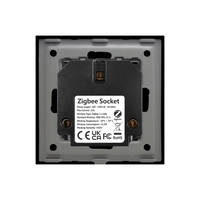 Priza inteligenta pentru perete LUXION Zigbee cu rama din sticla, negru