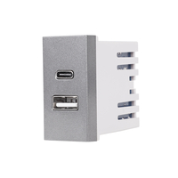 Modul Priza USB A+C 1M LUXION, Standard Italian, gri