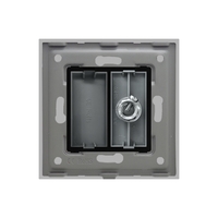 Priza TV Satelit cu Rama din Sticla LUXION, gri