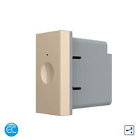 Modul Intrerupator Simplu Cap Scara / Cruce cu Touch LIVOLO 1M standard Italian, Protocol ZigBee EC, auriu
