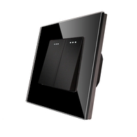 Intrerupator Dublu Mecanic LUXION cu Rama din Sticla, negru