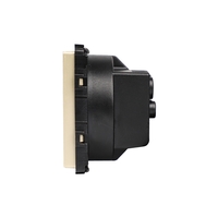 Modul Priza Simpla Fara Rama Din Sticla LUXION, auriu