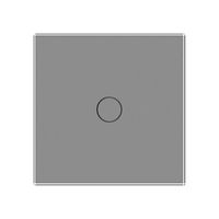Intrerupator Simplu cu Variator si Touch LIVOLO din Sticla - Protocol ZigBee EC, gri