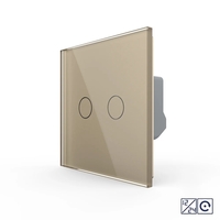 Intrerupator Dublu cu Revenire, Contact Uscat si 12/24V cu Touch LIVOLO – Serie Noua, auriu