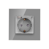 Priza Simpla cu Capac de Protectie cu Rama din Sticla LUXION, gri