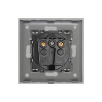 Priza Simpla LUXION cu Rama din Sticla, gri