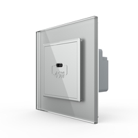 Priza USB Tip C Livolo cu Rama din Sticla, gri