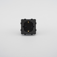 Modul Priza Simpla Fara Rama Din Sticla LUXION, gri