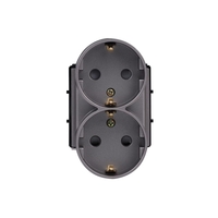 Modul Priza Dubla LUXION Pentru Doza Simpla, gri