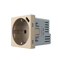 Modul Priza Schuko + USB-C LIVOLO, Standard German - Serie Noua, auriu