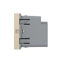 Modul Priza USB-A + USB-C LIVOLO – Serie Noua, auriu