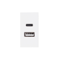 Modul Priza USB A+C 1M LUXION, Standard Italian, alb