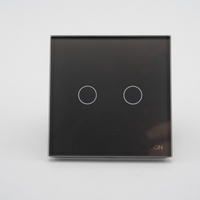 Intrerupator Dublu cu Touch din Sticla LUXION, gri