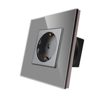 Priza Simpla LUXION cu Rama din Sticla, gri