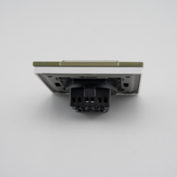 Priza Simpla cu Capac de Protectie cu Rama din Sticla LUXION, auriu