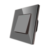 Intrerupator Simplu Mecanic LUXION cu Rama din Sticla, gri