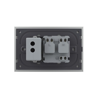 Priza simpla cu USB Livolo standard italian, gri