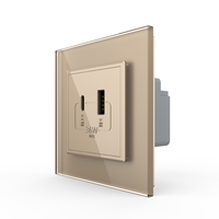 Priza USB-A + USB-C cu Rama Din Sticla LIVOLO - Serie Noua, auriu