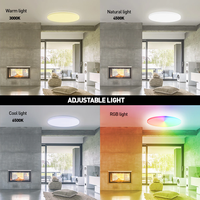 Plafoniera inteligenta LED RGB Tellur, Control vocal, 24W, Wi-Fi, Forma rotunda, 33 cm