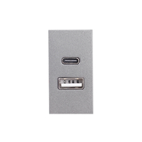 Modul Priza USB A+C 1M LUXION, Standard Italian, gri