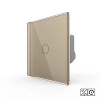 Intrerupator Simplu cu Revenire, Contact Uscat si 12/24V cu Touch LIVOLO – Serie Noua, auriu