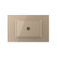 Priza Simpla TV Livolo cu Rama din Sticla - Serie Noua, auriu