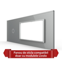 Panou Intrerupator Simplu cu 2 Prize LIVOLO din Sticla, Standard Italian - 6/7M, gri