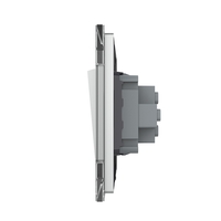 Intrerupator Simplu Mecanic si Cap Scara , 2 Module LIVOLO cu Rama din Sticla - Serie Noua, gri