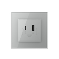Priza USB-A + USB-C cu Rama Din Sticla LIVOLO - Serie Noua, gri