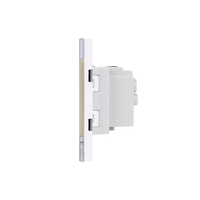 Priza Dubla cu Rama din Sticla LUXION, Standard Italian, 4M, auriu