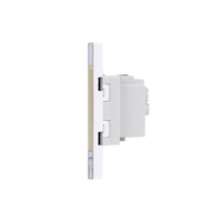 Priza Simpla si 1 Tasta Falsa cu Rama din Sticla LUXION, Standard Italian, 3M, auriu