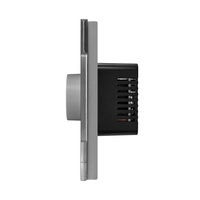 Intrerupator cu Variator Mecanic LUXION cu Rama din Sticla, gri