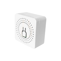 Releu Dublu LUXION Mini Smart