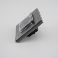 Priza Simpla cu Capac de Protectie cu Rama din Sticla LUXION, gri