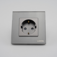 Priza Simpla LUXION cu Rama din Sticla, gri