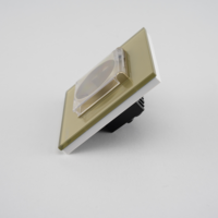 Priza Simpla cu Capac de Protectie cu Rama din Sticla LUXION, auriu