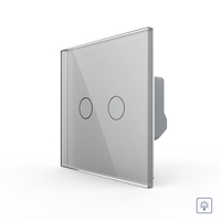 Intrerupator Dublu cu Variator LIVOLO cu Touch Din Sticla - Serie Noua, gri