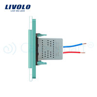 Priza USB Livolo cu rama din sticla, verde