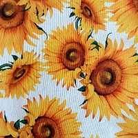 Prosopel bucătărie Girasole