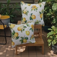 Faţă de pernuţă Lemon