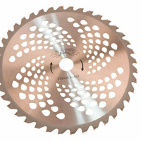 Disc motocositoare nr. 10/255 cu vidia MF